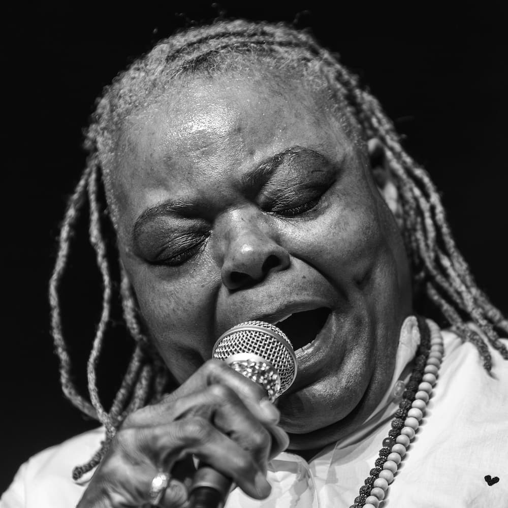 Album Cover - Chris Robley - A Filament in the Wilderness of What Comes Next (1)